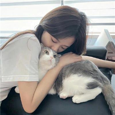 烟花女驼龙